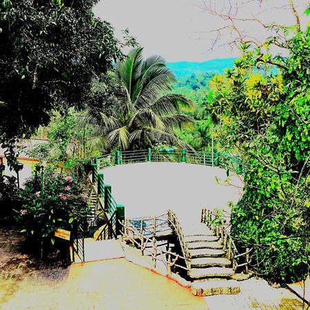 Rainforest Lodge, Deniyaya Singheraja Екстер'єр фото