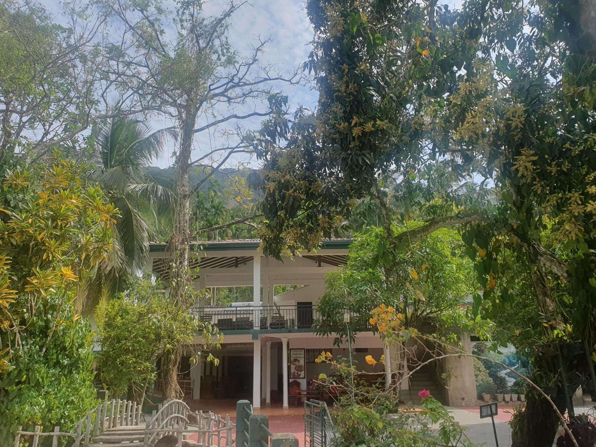 Rainforest Lodge, Deniyaya Singheraja Екстер'єр фото