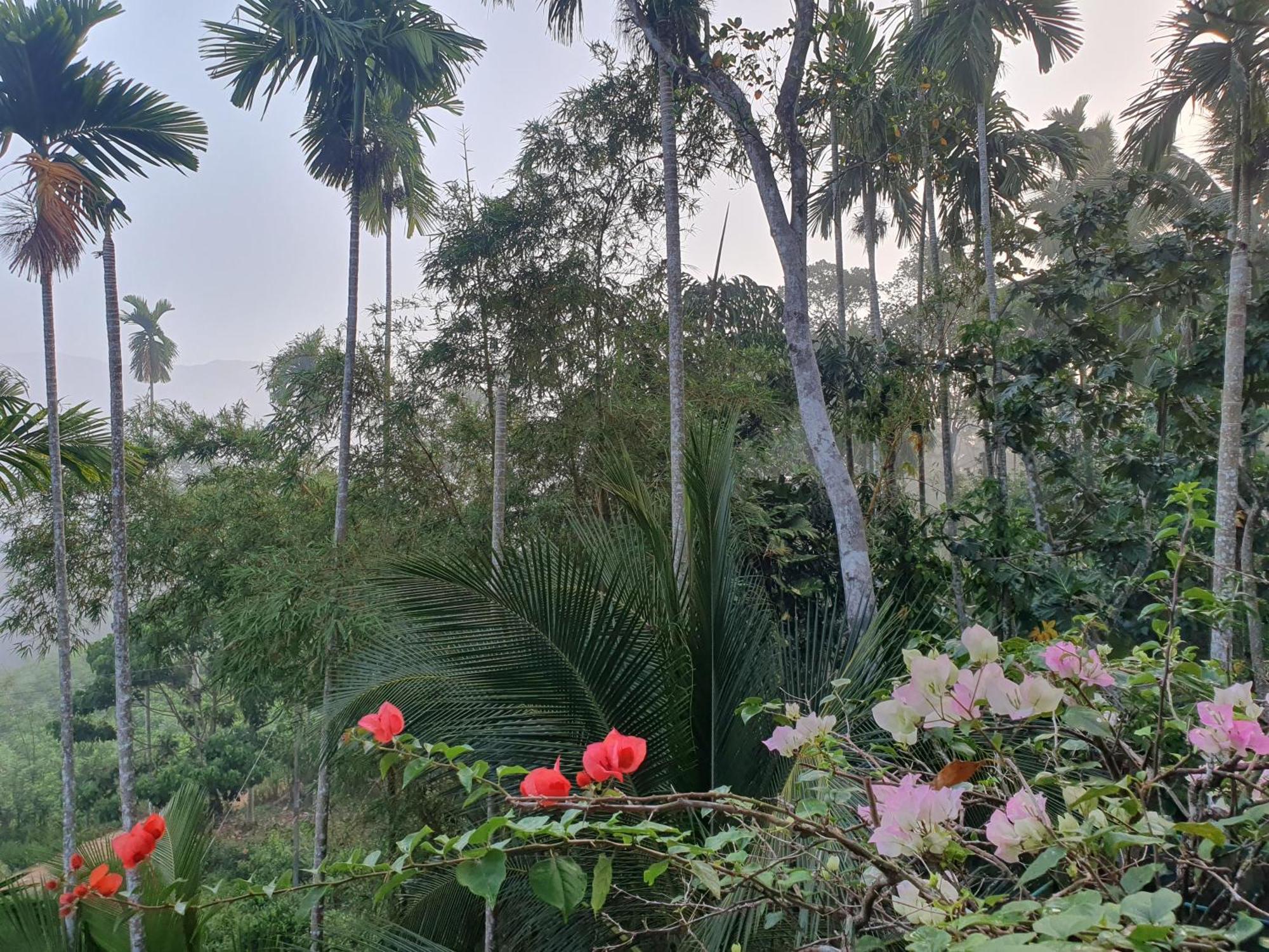 Rainforest Lodge, Deniyaya Singheraja Екстер'єр фото