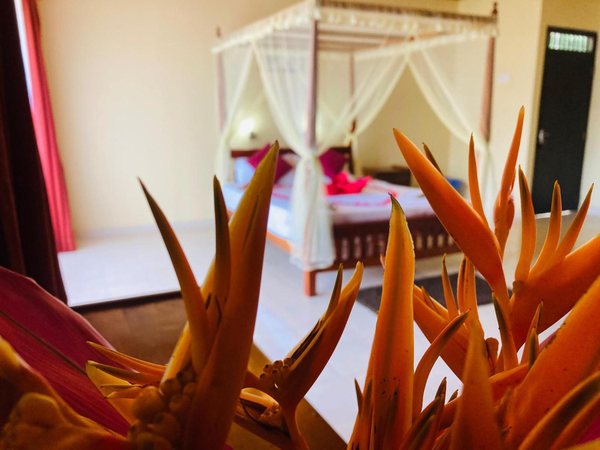 Rainforest Lodge, Deniyaya Singheraja Екстер'єр фото